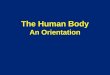 The Human Body : An Orientation