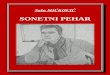 Sasa Mickovic - Soneti