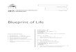 Blueprint of Life Exam