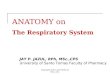 Anatomy of the Respiratory System (1)