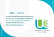 CURSO ELECTIVA IV - II CORTE.pdf