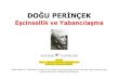 16474957-DOU-PERNCEK-Ecinsellik-ve-Yabanclama-ekitap (1).pdf
