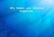 Why Humans Are Complex Organism by Aiman,Zi Jin