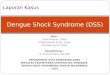 Dengue Shock Syndrome (DSS)