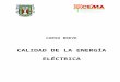 Curso Breve de Calidad de La Energía en IING Mexicali 2004