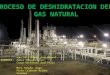 Deshidratacion del Gas Natural.pptx