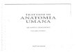 Trattato Di Anatomia Umana - Anastasi, Balboni, 1o Volume, Locomotore (Parte1) [eBook, Anatomia, 1 Anno]
