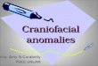 Craniofacial anomalies-drg Amy.ppt
