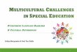 Multicultural Challenges Special Education - Final - Lidiya Martynenko and Paul Van Sickle