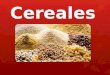 Expo Cereales