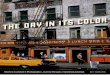 The Day in Its Color - Charles Cushmans Photographic Journey Through a Vanishing America (Photo Art eBook)