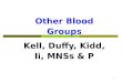 Other Blood Groups 1 Mazen
