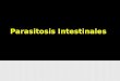Parasitosis Intestinales2