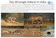 Top 10 Jungle Safaris in India