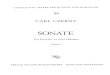 IMSLP20610-PMLP47948-Czerny Op07 Piano Sonata-2