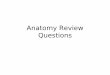 Anatomy Review Questions