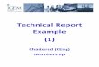 5-3 CEng Technical Report Example(1)