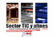 informe sector tics madrid_2013.pdf