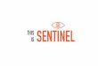 Sentinel: Remote Car Monitoring App