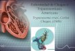 Enfermedad de Chagas o Tripanosomiasis Americana