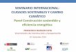 CIUDADES SOSTENIBLES Y CAMBIO CLIMÁTICO