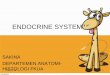 3. Sistem Endokrin.pdf