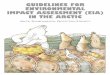 Guidelines for EIA in the Arctic
