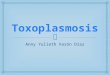 3. Toxoplasmosis
