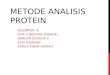 Metode Analisis Protein