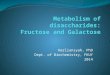5.3. Metabolisme Disakarida
