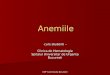 1-Anemiile - curs studenti.ppt