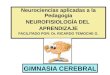 Neurociencias-Ginnasia cerebral-aprendizaje.pptx