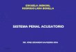 Sistema Penal Acusatorio  Dr Saavedra Roa.ppt