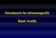 in ultrasonografie R_ Arafat.pdf