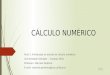 CNUMA1 - Introdução Ao Cálculo Numérico - Estudo Dos Erros