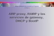 CCNA 1 Arp Arp Proxy Bootp Dhcp