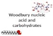 Woodbury Nucleic Acid and Carbohydrate