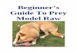 Beginners Guide to Prey Model Raw Rv.4.1
