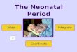 Normal Neonate Powerpoints