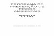 PPRA Definitivo PDF