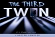 The Third Twin by CJ Omololu