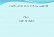 Co2 in Sea Water_ppt