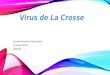 Virus de La Crosse