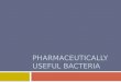 pharmaceutically Useful Bacteria