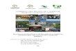 175Programa Estratégico Forestal de Campeche.pdf
