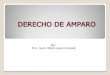 JUICIO DE AMPARO.pdf