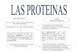 Las Proteínas, Mapa Mental