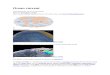 Ocean Current & Coriolis Effect