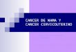 CANCER DE MAMA Y CANCER CERVICOUTERINO.ppt