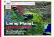 WWF Living Planet Report 2014